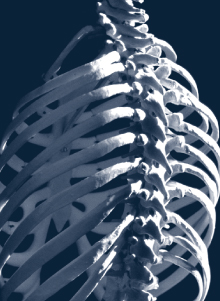 Learning About Spinal Cord Injuries